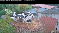 bandicam 2024-06-30 13-31-59-301.jpg