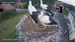 IMG_7676.jpeg