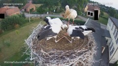 IMG_7677.jpeg
