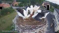IMG_7679.jpeg