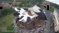 IMG_7858.jpeg