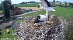 2024-06-30 20_43_58-Bocian Gierłachowo - YouTube – Maxthon.jpg