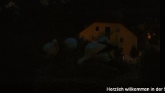bandicam 2024-06-30 22-00-26-271.jpg