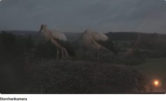 bandicam 2024-06-30 22-06-07-636.jpg