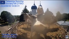 2024-06-30 22_55_58-Gniazdo Bocianie - Telewizja Sokółka [NA ŻYWO] _ IP Camera_ Stork's nest [LIVE] .jpg