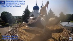 2024-06-30 22_56_13-Gniazdo Bocianie - Telewizja Sokółka [NA ŻYWO] _ IP Camera_ Stork's nest [LIVE] .jpg