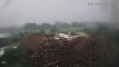 2024-06-30 23_02_42-Bociany - Raszków - YouTube – Maxthon.jpg