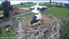 2024-07-01 13_54_48-Bocian Gierłachowo - YouTube – Maxthon.png