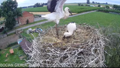 2024-07-01 14_06_22-Bocian Gierłachowo - YouTube – Maxthon.png