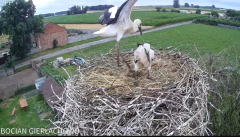 2024-07-01 14_06_29-Bocian Gierłachowo - YouTube – Maxthon.png
