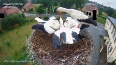 IMG_7868.jpeg