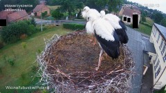 IMG_7870.jpeg