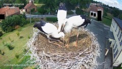 IMG_7936.jpeg