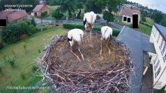 IMG_7974.jpeg