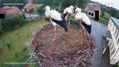 IMG_7963.jpeg