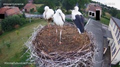 IMG_8034.jpeg