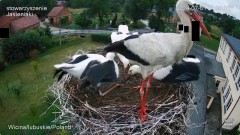 IMG_8041.jpeg