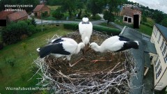 IMG_8042.jpeg