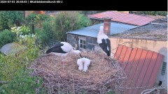 bandicam 2024-07-01 20-51-16-714.jpg