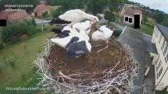 IMG_8065.jpeg