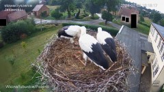IMG_8196.jpeg