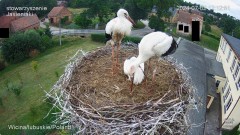 IMG_8202.jpeg