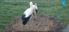 2024-07-02 21_10_42-20240701_144019.mp4.png
