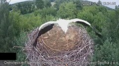 2024-07-02 22_28_30-Wodociągi Ostrołęka – transmisja na żywo - YouTube – Maxthon.jpg