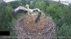 2024-07-02 22_28_57-Wodociągi Ostrołęka – transmisja na żywo - YouTube – Maxthon.jpg