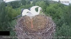 2024-07-02 22_29_01-Wodociągi Ostrołęka – transmisja na żywo - YouTube – Maxthon.jpg