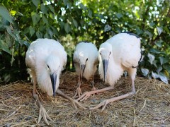 IMG_1352.jpeg
