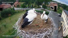 IMG_8415.jpeg