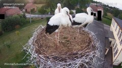IMG_8422.jpeg