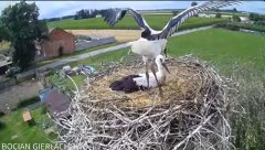 2024-07-03 21_40_54-Bocian Gierłachowo - YouTube – Maxthon.jpg