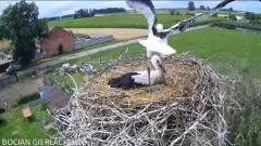 2024-07-03 21_41_41-Bocian Gierłachowo - YouTube – Maxthon.jpg