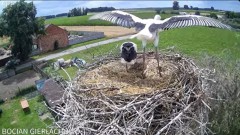 2024-07-03 21_44_59-Bocian Gierłachowo - YouTube – Maxthon.jpg