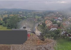 bandicam 2024-07-04 09-22-50-378.jpg