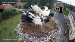 IMG_8470.jpeg