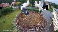 IMG_8491.jpeg