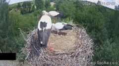 2024-07-04 22_39_46-Wodociągi Ostrołęka – transmisja na żywo - YouTube – Maxthon.jpg