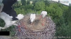 2024-07-04 22_40_06-Wodociągi Ostrołęka – transmisja na żywo - YouTube – Maxthon.jpg