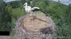 2024-07-04 22_41_31-Wodociągi Ostrołęka – transmisja na żywo - YouTube – Maxthon.jpg