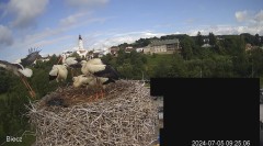 IMG_1649.jpeg