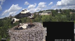IMG_1675.jpeg