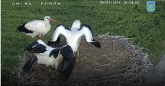 IMG_1798.jpeg