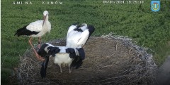 IMG_1801.jpeg