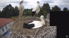 IMG_1843.jpeg