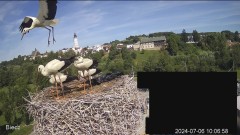 IMG_1872.jpeg
