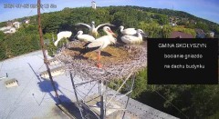IMG_2084.jpeg