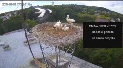 IMG_2105.jpeg